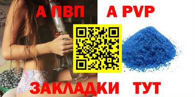 стаф Кингисепп