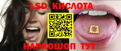 стаф Кингисепп