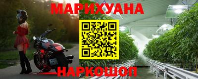стаф Кингисепп