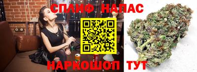 скорость Кимры