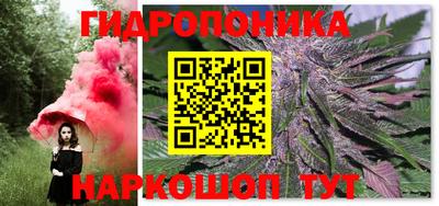 индика Конаково