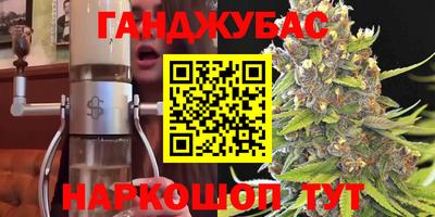стаф Кингисепп