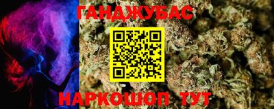 стаф Кингисепп