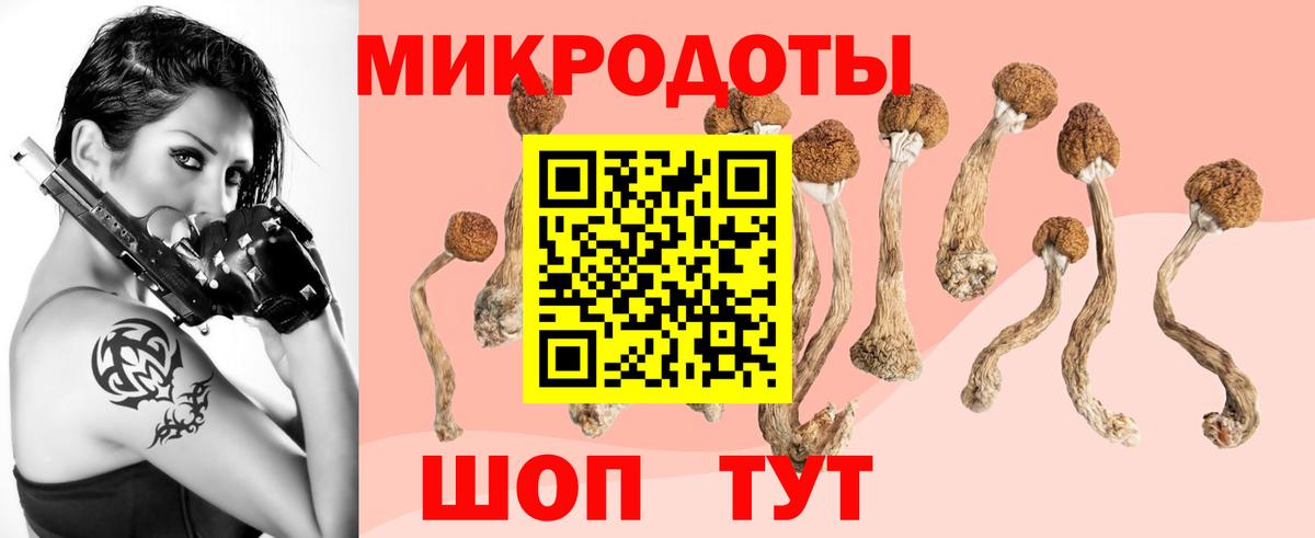Кропоткин  Галлюциногенные грибы Psilocybine cubensis  Вход с VPN 